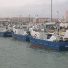 Imagem Cercador 19M Benguela