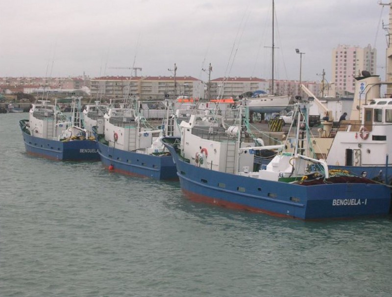 purse-seiner-19m_6a56098767a7b.jpg