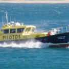 LANCHA DE PILOTOS 12M